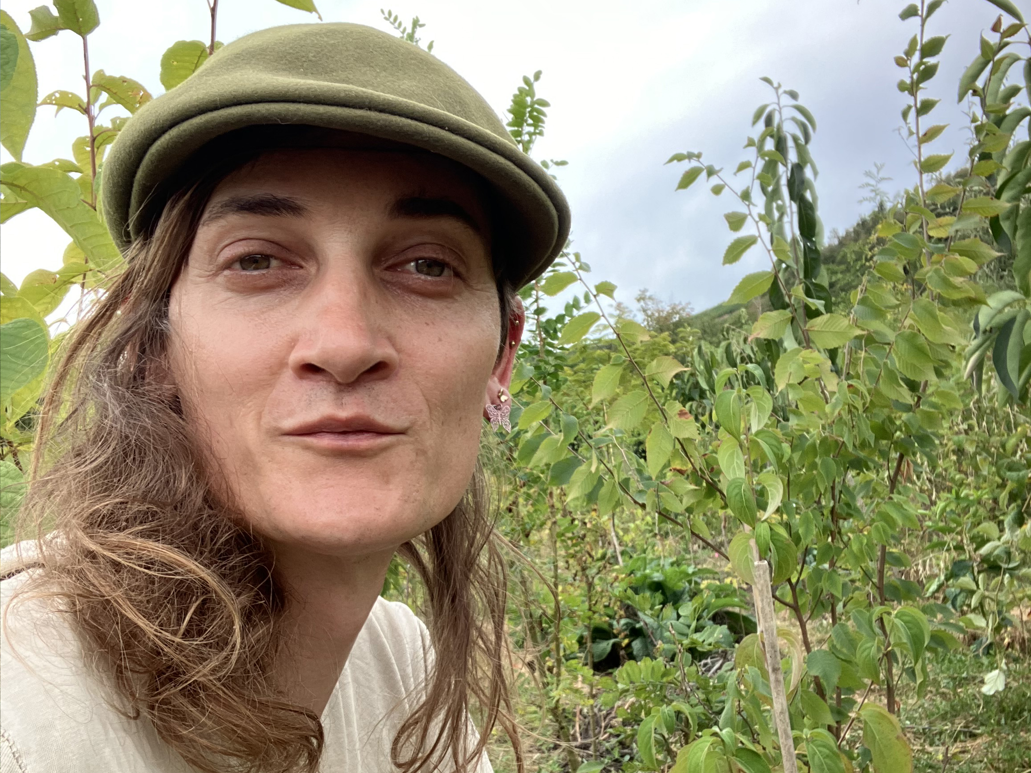 image Arbres, arbustes et haies à destination des forêts jardins